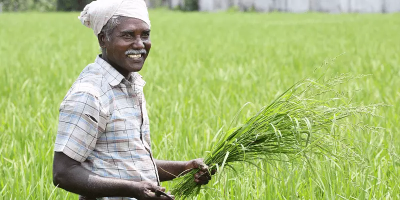Farming